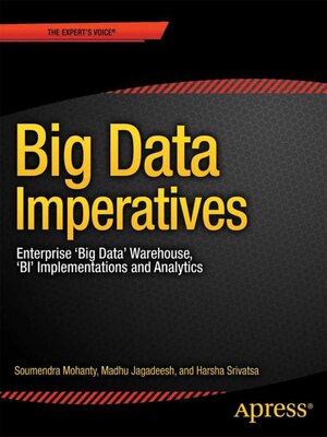 cover image of Big Data Imperatives